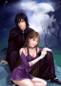 紅樓之誰家新婦